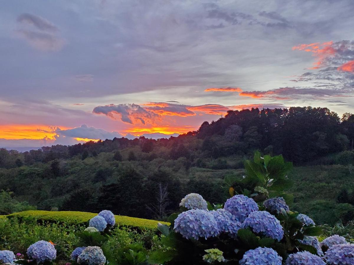 Hotel Finca Paraiso Mountain Retreat Near San Jose Airport à Birrí Extérieur photo