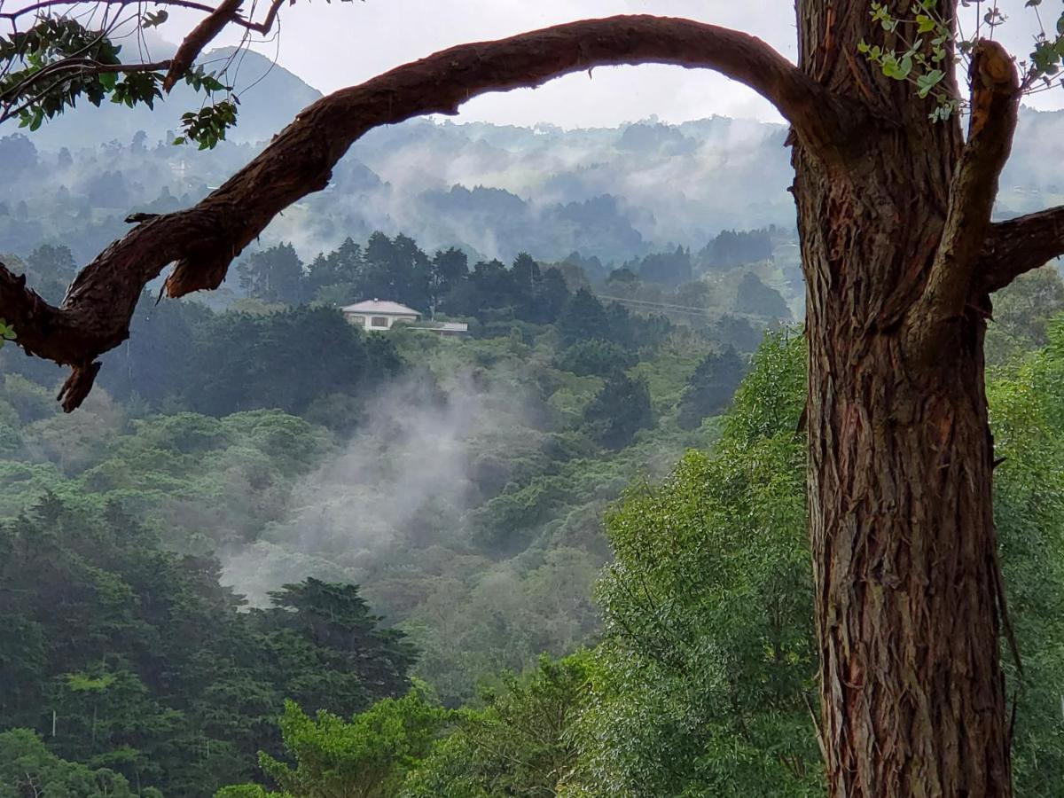 Hotel Finca Paraiso Mountain Retreat Near San Jose Airport à Birrí Extérieur photo