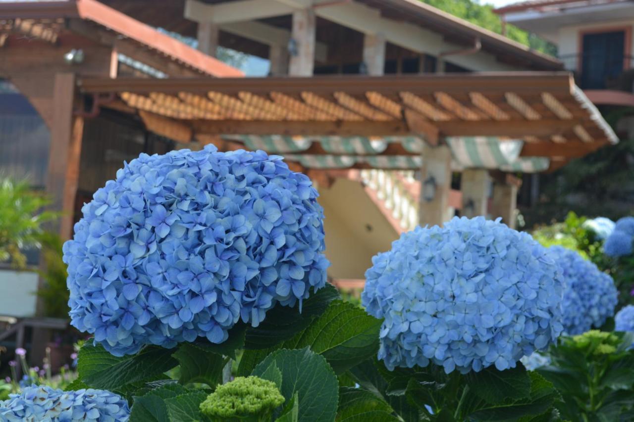 Hotel Finca Paraiso Mountain Retreat Near San Jose Airport à Birrí Extérieur photo